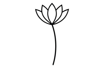 dried flower vector line art flower silhouette