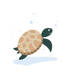 Turtle illustration in flat simple design abstract illustration