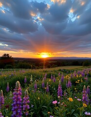 Vibrant Sunset Over Colorful Wildflower