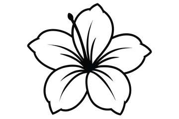 hibiscus bloom vector line art flower silhouette © SailoBala