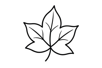 ivy leaf vector line art flower silhouette