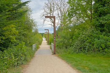Walkway through a young green spring forest on a cloudy day. 