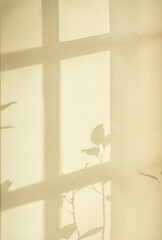 Naklejka premium Natural window color shadow overlay on clean minimal light white background