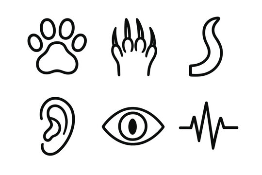 Animal Icon Reflexes. Animal reflex outline set. paw print, claw, tail, ear, eye, heartbeat line.