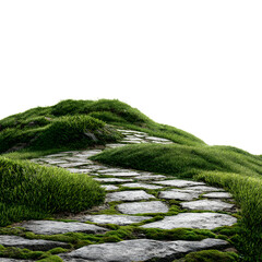 Scenic Stone Paved Pathway Cutting Through Lush Green Grass