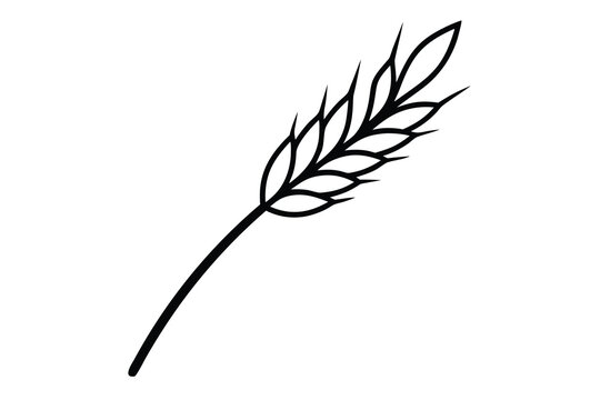 wheat stalk vector line art flower silhouette
