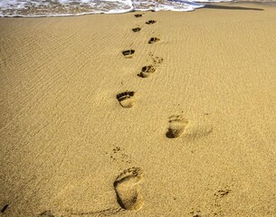 footprints in the sand