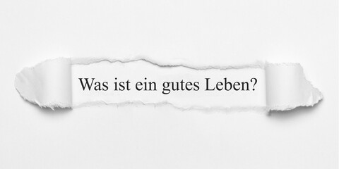 Was ist ein gutes Leben?	

