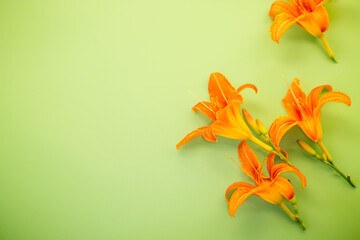 Bright orange lilies on green background from above