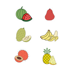 set of fruits. Tropical Essence Fruit Collection. Elegant Exotic Fruits Illustration. Pineapple Series Continuation Vector. Summer Freshness in Tropical Colors. Artistic Fruit Mix Flat Design. 