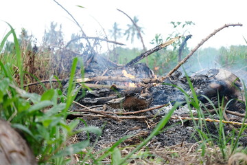 Burning a pile of garbage with a cloud of smoke.