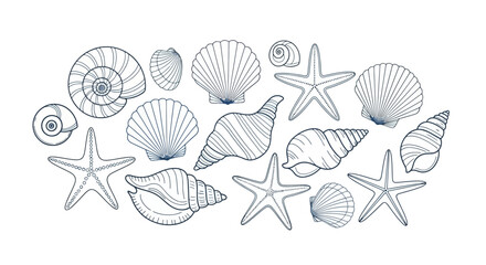 Collection of Seashells and Starfish Line Art in Blue Outline, white background