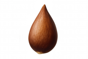 Avocado pit with a teardrop shape showing a smooth brown surface, great for healthy food and cooking concepts, transparent background