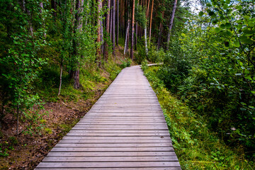 Obraz premium A long wooden path for walking in the forest.