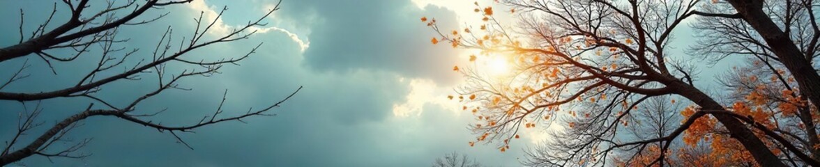 Serene Autumn Branches Reaching for a Cloudy Sky A Melancholic Yet Peaceful Scene of Solitude and Reflection