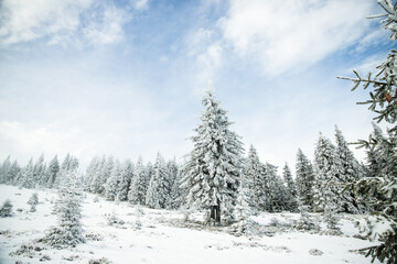 Fototapeta premium beautiful snow covered mountain landscape in winter