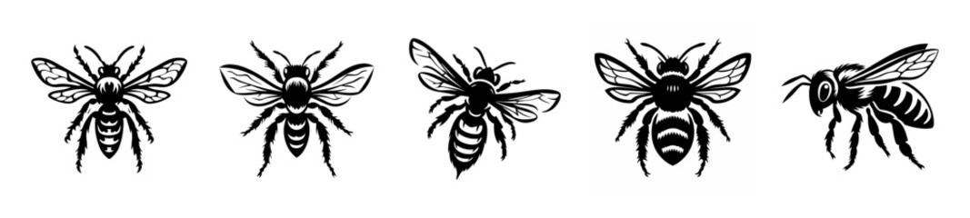 Multiple honeybees in flight and perching detailed black and white sketches artistic insect imagery