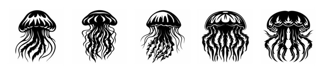 Intricate drawings of five elegant jellyfish with flowing tentacles underwater marine life ocean
