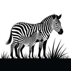 Mother zebra and foal standing together in tall grass