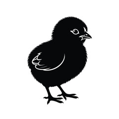 Fototapeta premium Black silhouette of a fluffy baby chick standing on white background