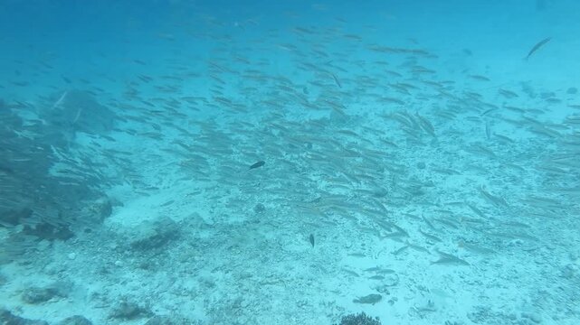 Aerial Diving Adventure: Drone View of Dive Boats and Tropical Islands in Phuket, Thailand
