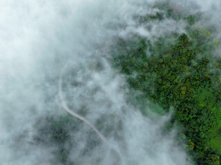 Enshi City Hubei Province mist covers verdant forest path.
