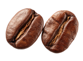 Two coffee beans close-up (1)