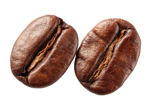 Two coffee beans close-up (1)