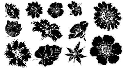 set of black silhouettes of leaves daisy flower