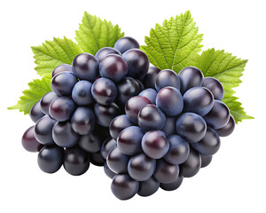 Fototapeta premium bunch of grapes isolated on transparent cutout background