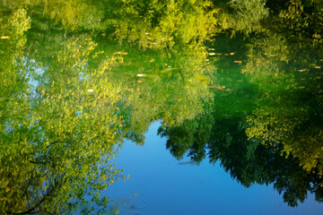 Autumn background in reflection on the water