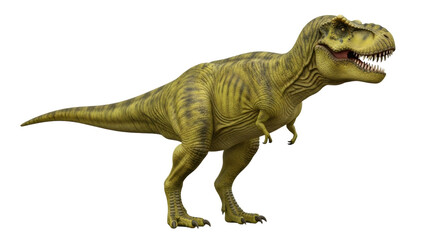 Obraz premium Isolated Tyrannosaurus rex dinosaur posing aggressively in studio lighting looking forward