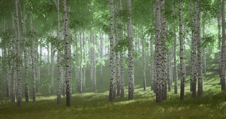 A serene forest filled with tall birch trees stands majestically, their white bark contrasting against vibrant green foliage. Sunlight gently filters through the leaves, creating a tranquil ambiance. - Powered by Adobe