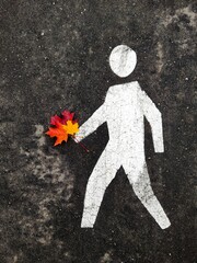 Pedestrian sign on the asphalt with a bouquet of autumn leaves in his hand. The concept of autumn walks, surprise, joy