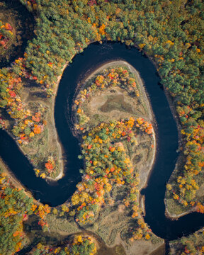 Aerial view of the river snaking through autumnal trees, a vibrant tapestry of gold and green, contrasting with the dark waters, Casco, Maine, United States.