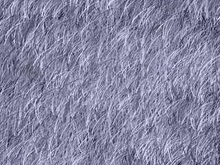 灰色 髪の毛 毛皮 背景 イラスト素材