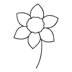 Daffodil Flower Outline Vector in Simple Line Art Style for Spring, Nature, and Seasonal Design