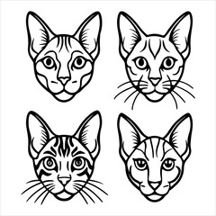 Fototapeta premium A Striking Portrait of the Rare Chausie Wild Hybrid Cat, Showcasing its Tall Athletic Form and Distinctive Tufted Ears, an Exotic Jungle Cat Descendant of Ancient Lineage.