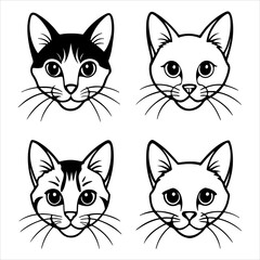 A Beautiful Portrait of the Rare Snowshoe Cat, Showcasing its Unique White Paws Mitted Feet, Striking Blue Eyes, and Siamese Mix Color point Markings, an Affectionate Medium Size Breed.