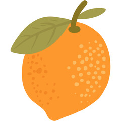 Boho Citrus Bliss Clipart