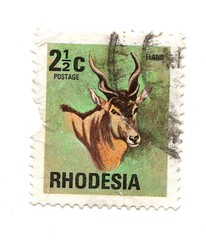 A vintage postage stamp from Rhodesia on a white background.