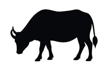 Solid Black Silhouette Vector of a Water Buffalo in Standing and Grazing Poses