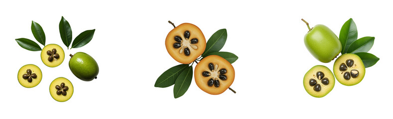  Garcinia cambogia fruit, one cut in half exposing the seeds, with green leaves, in a transparent background.