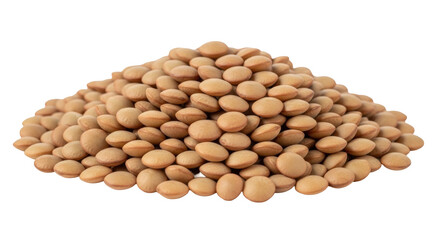 Isolated pile of brown lentils, uncooked, for healthy protein-rich diet and clean eating