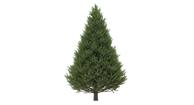 Isolated evergreen tree stands tall against a clean background for landscape design, cutout - Powered by Adobe