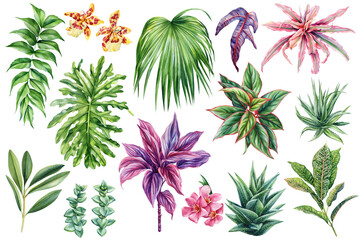 Watercolor Tropical Leaves Set on isolated background. Exotic Green Botanical Plants, Palm Aloe Agave Orchid Flowers Illustration © Hanna
