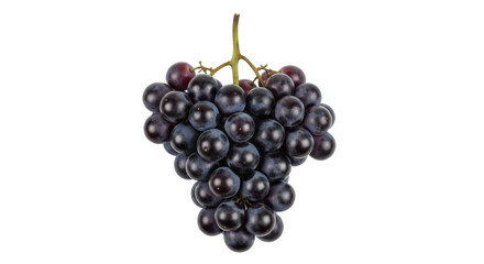 Isolated bunch of fresh, ripe dark grapes with stem ready to eat, healthy snack food