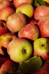 apples in the market