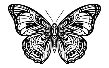 Vectorized Butterfly for print, decoration, Wallpaper, Commercial use, Sketch.