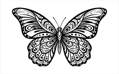 Vectorized Butterfly for print, decoration, Wallpaper, Commercial use, Sketch.
